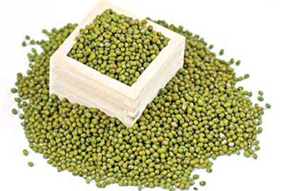 Một trong những nguyên liệu phổ biến để làm giá tại nhà là đậu xanh, sử dụng 1 dụng cụ để địng lượng hạt đậu cho mỗi lần trồng giá
