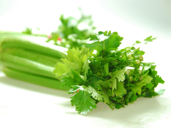 Cây cần tây