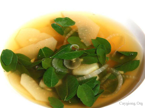 Canh rau chùm ngây