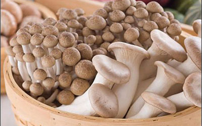 Chế biến nấm đúng cách