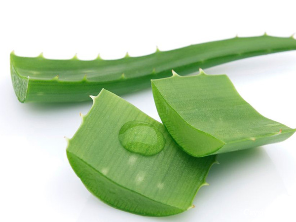 Cận thận khi d&ugrave;ng nha dam