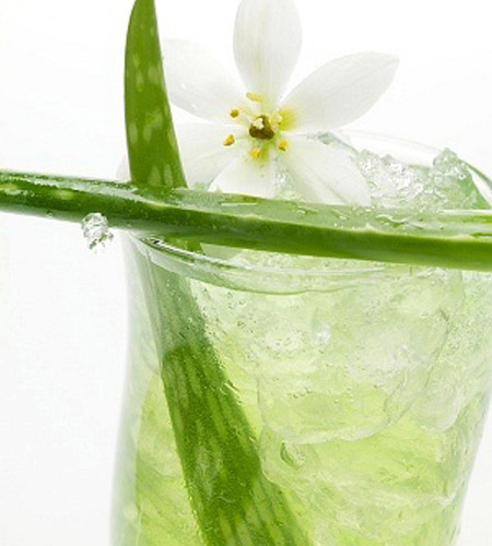 Nước ép nha đam giúp giảm cân