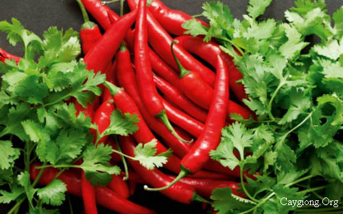Công dụng tuyệt với của trái ớt