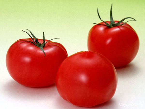 Bảo quản cà chua không cần hóa chất