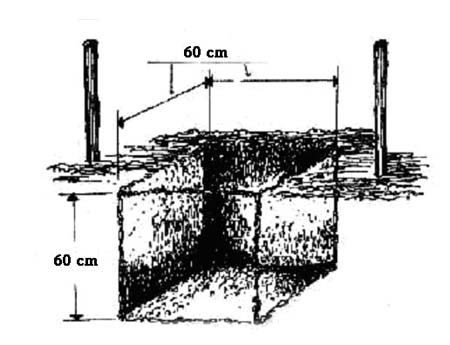 Chuẩn bị hố trồng dừa